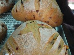 -Juicy Bakery(大学路店)