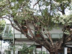 -喜洲吧·江畔老船厂·庭院餐厅(喜临院店)