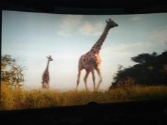 -金逸影城(中关村店)