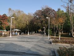 -白塘生态植物园
