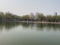 -太阳宫公园
