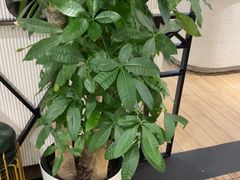 -葡珍轩冰室(虹桥机场T1店)