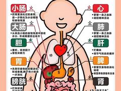 -莱仪堂艾灸经络养生馆(武威东路店)