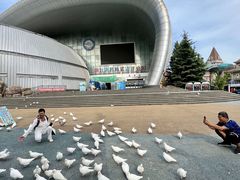 -烟台海昌鲸鲨海洋公园