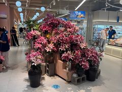 -龙湖杭州滨江天街