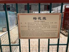 -有喜胶东小馆(超极合生汇太申祥和店)