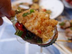 鲍鱼-东极岛海鲜