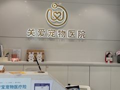 -关爱宠物医院·猫科中心·消化科(滨湖万达分院)