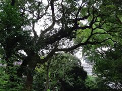 -九龙公园