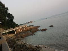 -八婆婆烧仙草(曾厝垵店)