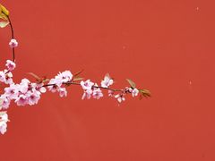 -国家植物园