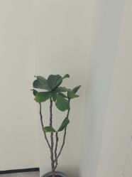 -FOR YOU造型