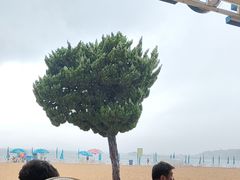 -青岛第一海水浴场
