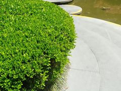 -常州古运河南大街文化旅游区-人民公园