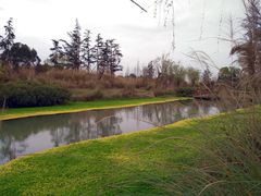 -桤木河湿地公园