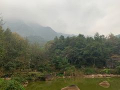 -莲峰云海景区