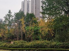 -重庆彩云湖湿地公园