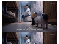 -海底捞火锅(杭州萧山宝龙广场店)