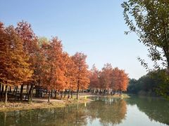 -梁鸿国家湿地公园