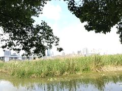 -月湖风景区