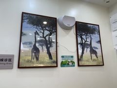 -美联众合动物医院·24h转诊中心