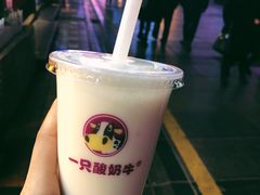 -一只酸奶牛(八一路店)