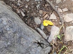 -云岫谷游猎自然风景区