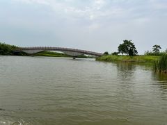 -宁波杭州湾国家湿地公园