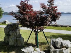 -东钱湖旅游度假区