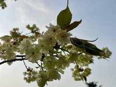 -堤角公园