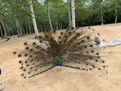 -秦皇岛野生动物园
