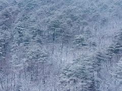 -安徽天堂寨风景区