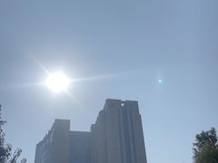 -阿拉丁新疆风味餐厅·清真(罗廊巷店)