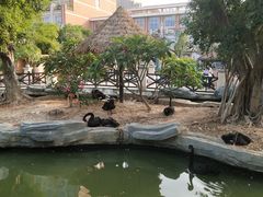 -灵玲国际马戏城