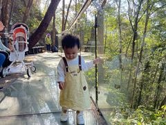 -九龙江国家森林公园