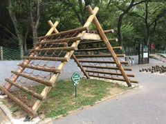 -南京老山国家森林公园