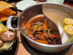 -掂档潮汕牛肉火锅(沈阳万象城店)