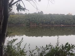 -三水森林公园