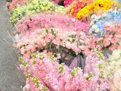 -循礼门鲜花花市(武汉循礼门店)