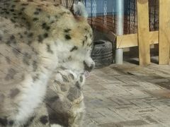 -青藏高原野生动物园
