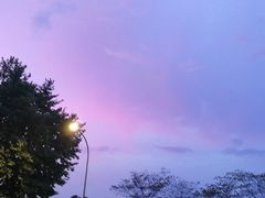 -全乐鱼馆·淳牌有机鱼直营店