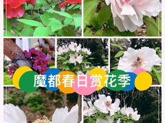 -黄兴公园