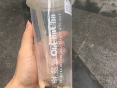 -噢茶茶Oh Cha Cha