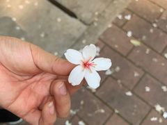 -火炉山森林公园