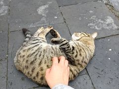 -正阳书局(西四南大街店)