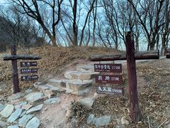 -北京西山国家森林公园