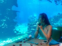 -海棠湾洲际-涛·海底餐厅·美人鱼·自助餐·海底隧道