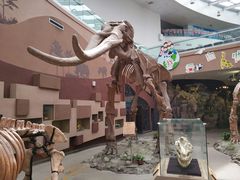 -陕西自然博物馆