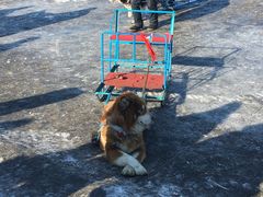 -人民防洪胜利纪念塔