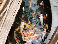 -上海大自然野生昆虫馆(东方明珠·爬宠昆虫探索中心)